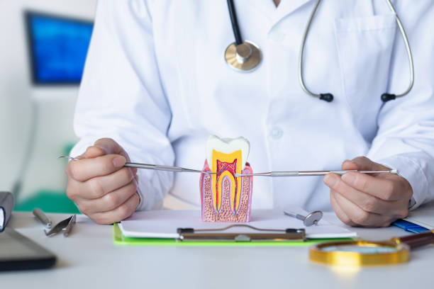 Best Emergency Cosmetic Dentistry (e.g., broken veneers) in Reed City, MI